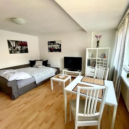 Nice And Comfortable, Centrally Located Apartment Rheinfelden  Kültér fotó