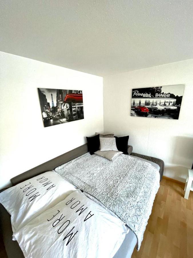 Nice And Comfortable, Centrally Located Apartment Rheinfelden  Kültér fotó